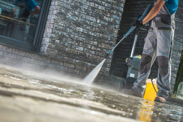 Best Warehouse Cleaning  in Blue Grass, IA