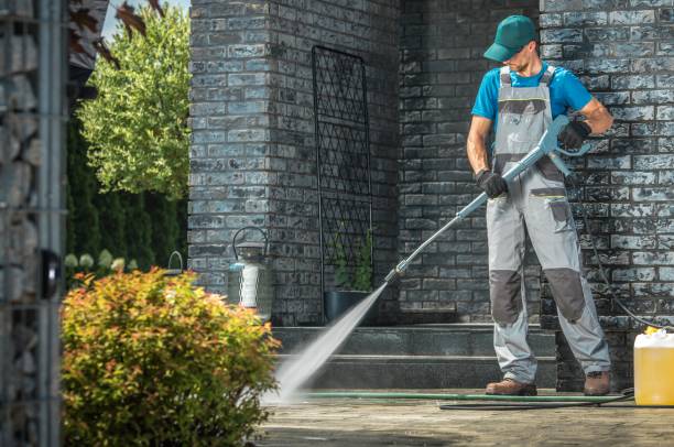 Best Roof Washing  in Blue Grass, IA