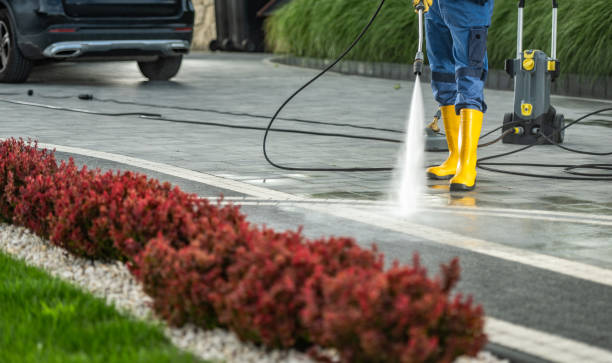 Best Sign and Awning Cleaning  in Blue Grass, IA