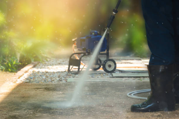 Best Gutter Cleaning  in Blue Grass, IA